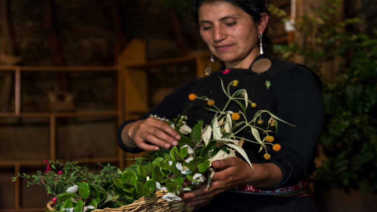 Comunidad Mapuche Lago Budi Desde Pucon foto 8
