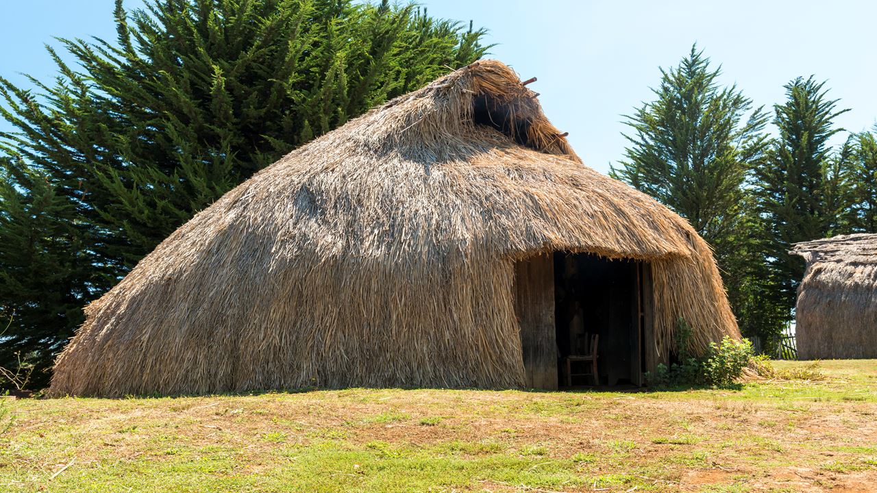 Comunidad Mapuche Lago Budi Desde Pucon foto 2