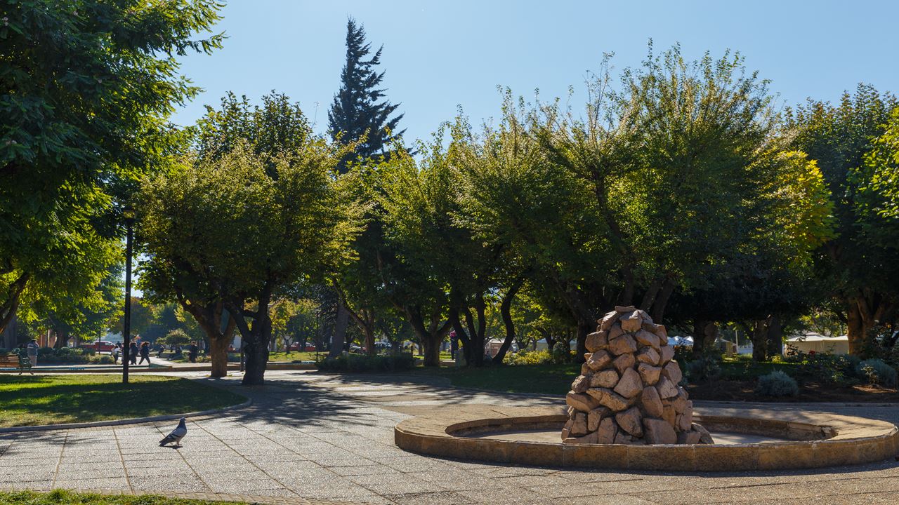 Essencial Em Coyhaique: Coração Da Patagônia Aysén foto 14