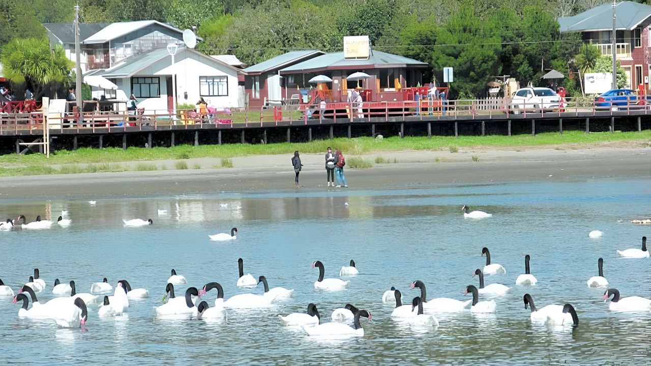 Dalcahue And Quinchao Island Full Day Tour foto 8