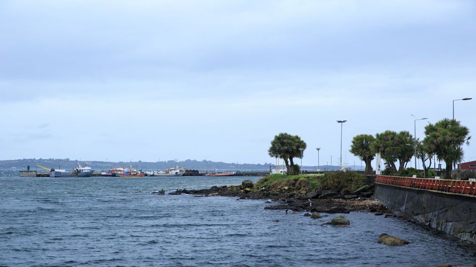 Descubre Ancud Y Las Pingüineras De Puñihuil foto 6