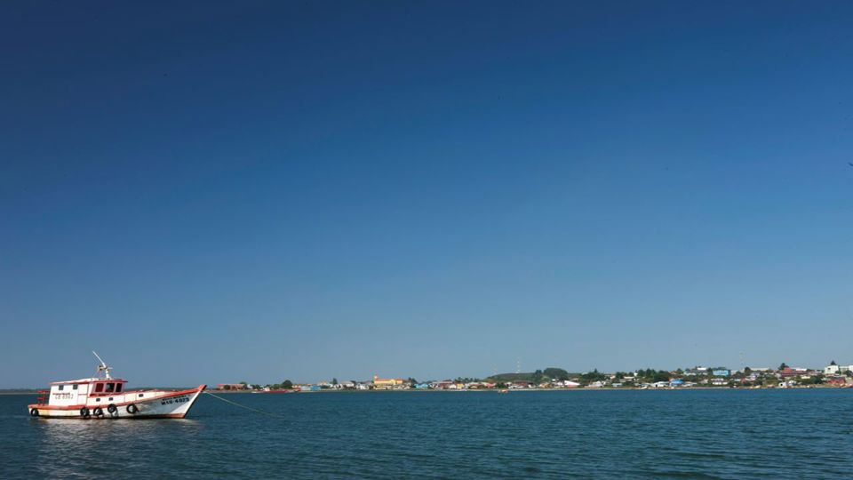 Descubre Ancud Y Las Pingüineras De Puñihuil foto 4