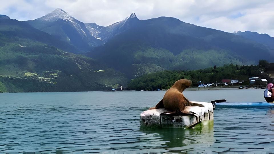 Estuario Reloncavi Naturaleza Y Cultura En Cochamo Y Puelo
 foto 6