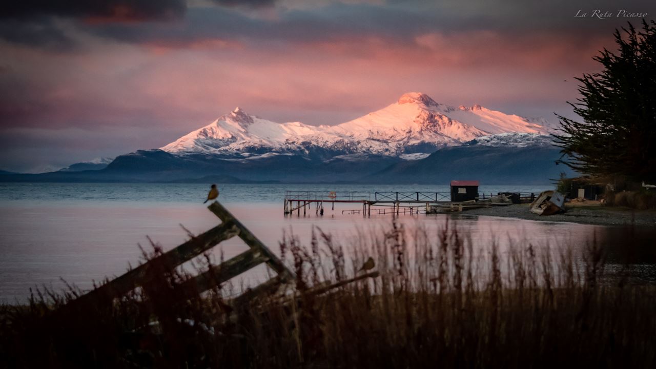 Experience At A Patagonian Ranch: Shearing And Roasting foto 6