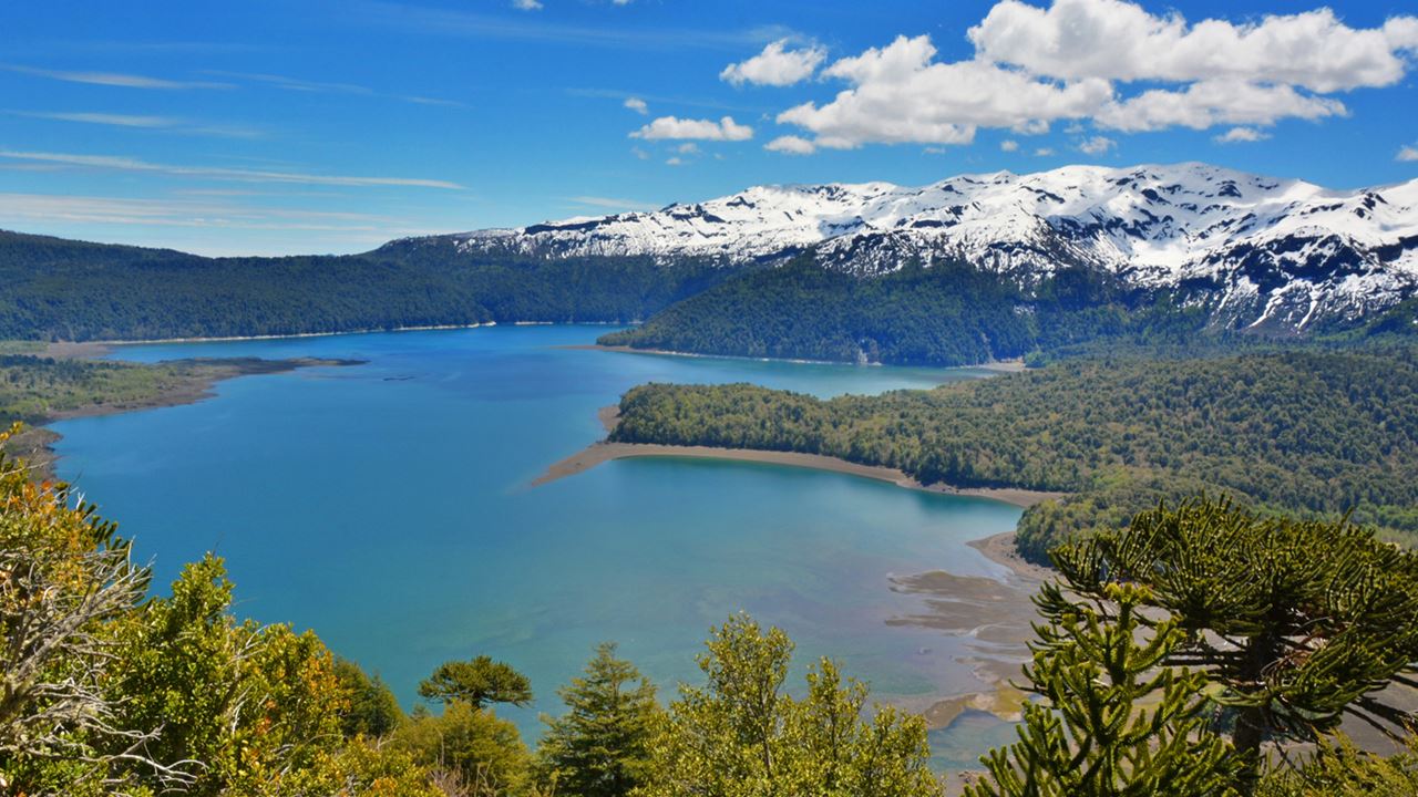 Full Day Parque Nacional Conguillío foto 5