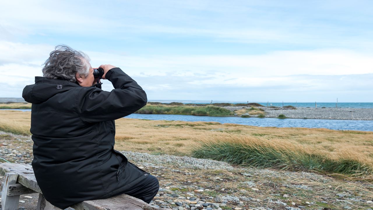 Dia Inteiro No King Penguin Park Em Tierra Del Fuego foto 4