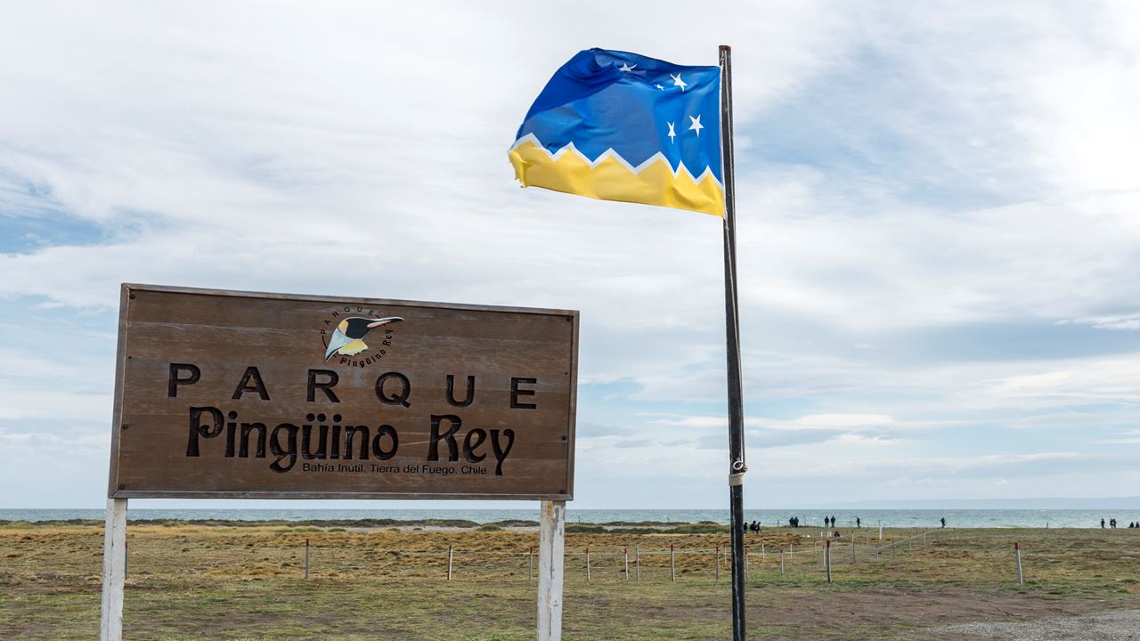 Dia Inteiro No King Penguin Park Em Tierra Del Fuego foto 1