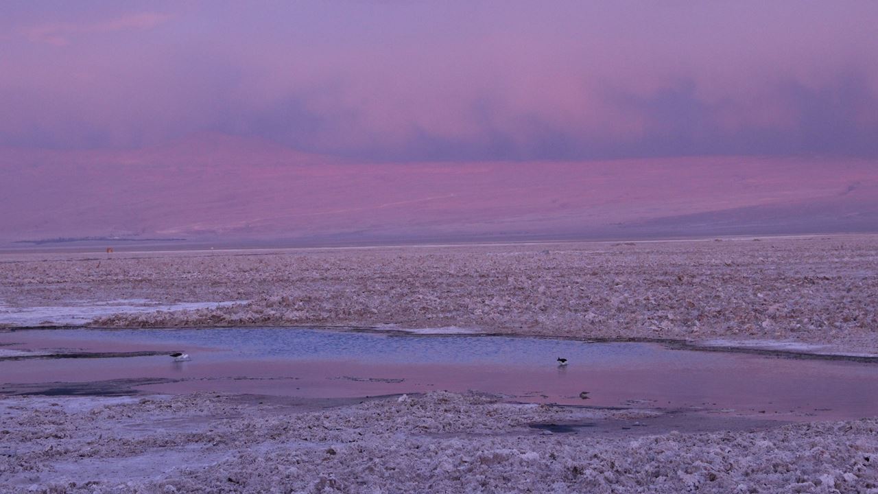 Full Day Piedras Rojas + Lagunas Altiplánicas Miscanti Y Miñiques + Laguna Chaxa + Salar De Atacama (4)