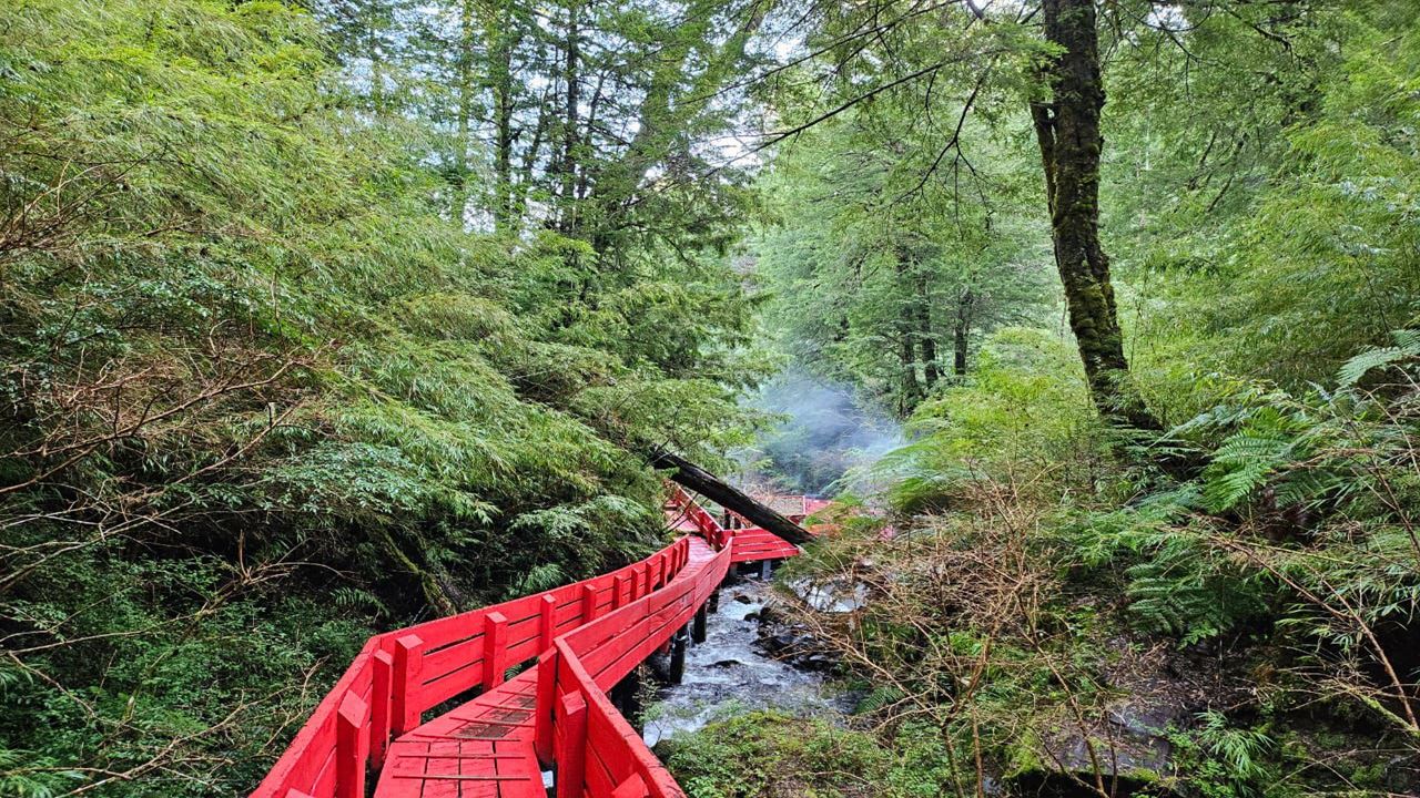 Journée Complète Aux Sources Chaudes Géométriques De Pucón foto 5