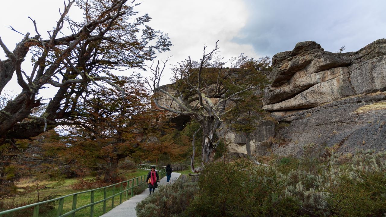 Passeio De Dia Inteiro Torres Del Paine E Caverna Milodón foto 12