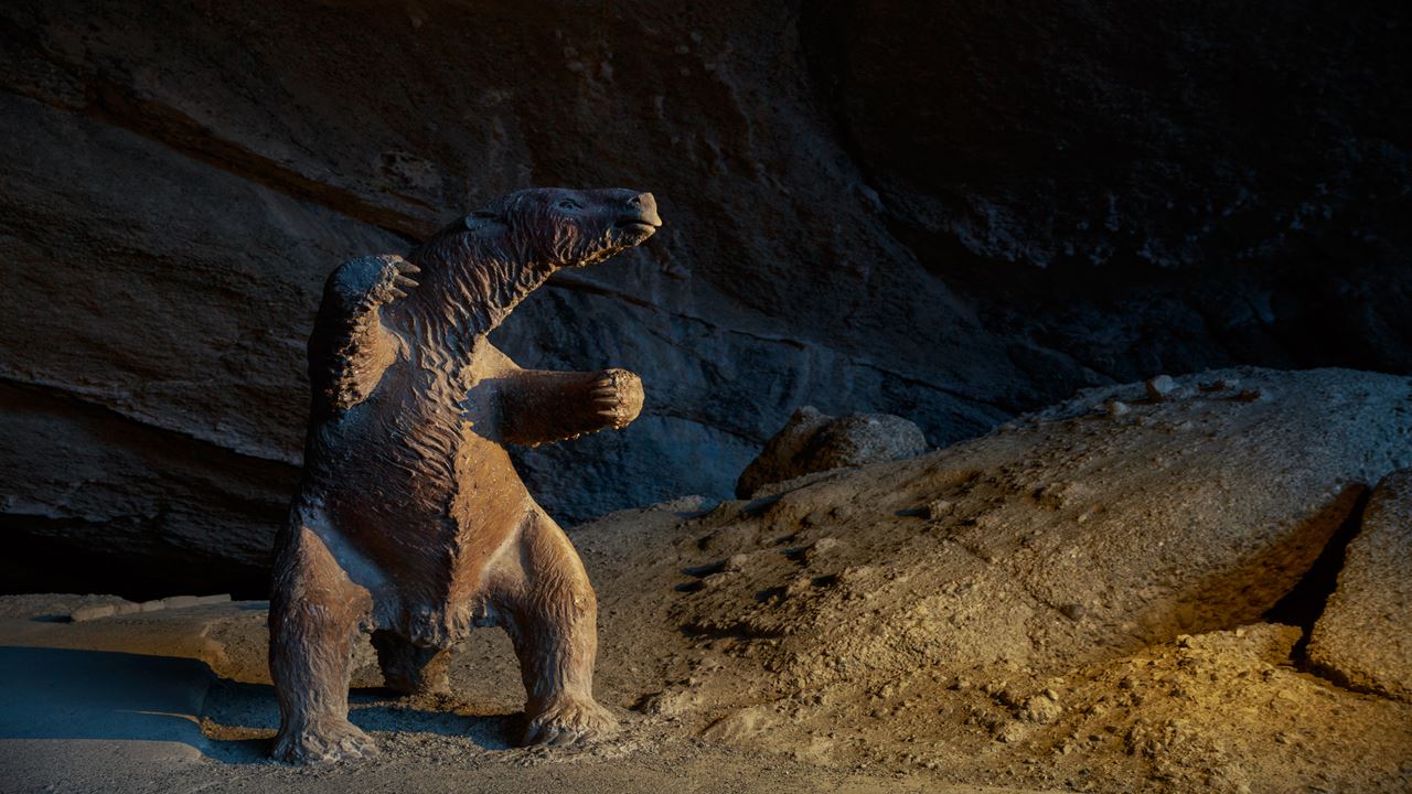 Passeio De Dia Inteiro Torres Del Paine E Caverna Milodón foto 13