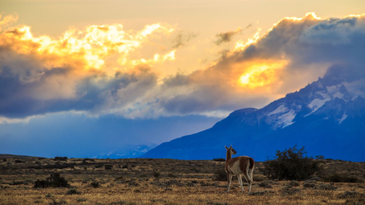 Passeio De Dia Inteiro Torres Del Paine E Caverna Milodón foto 8