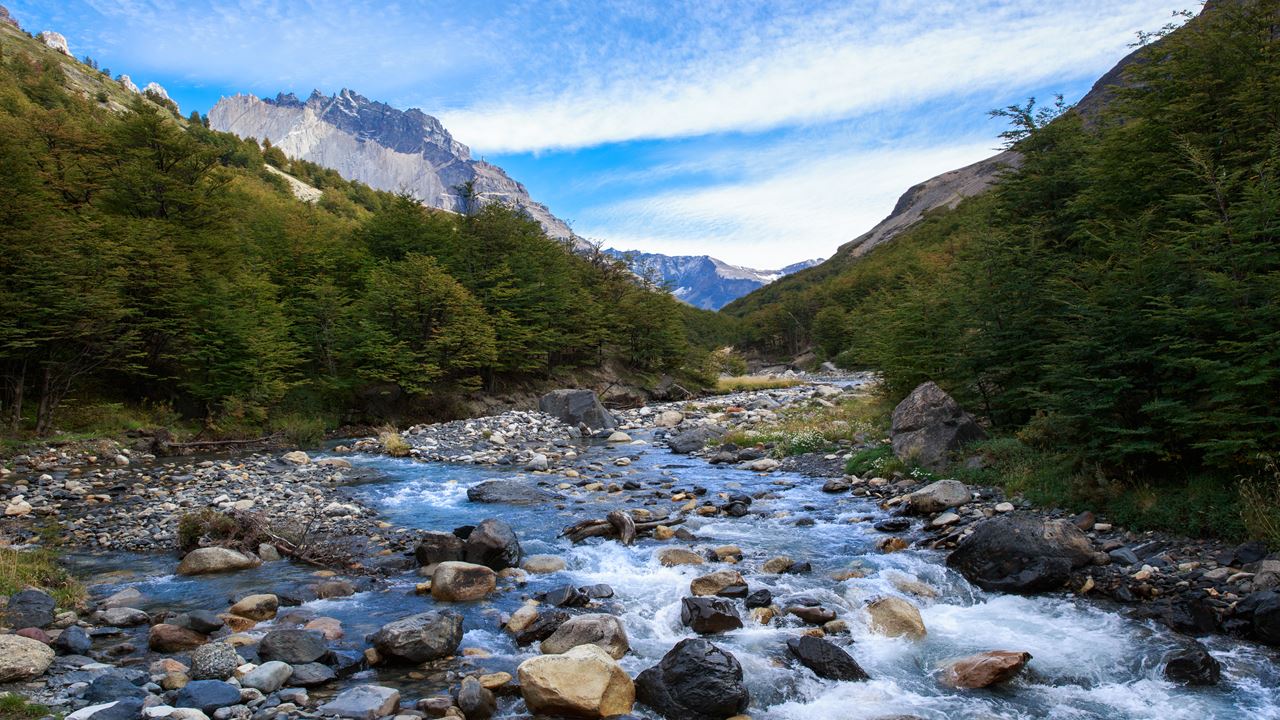 Passeio De Dia Inteiro Torres Del Paine E Caverna Milodón foto 11