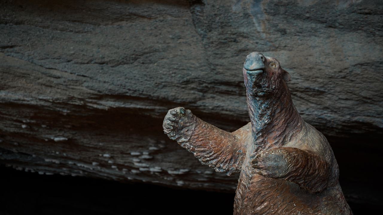 Passeio De Dia Inteiro Torres Del Paine E Caverna Milodón foto 9