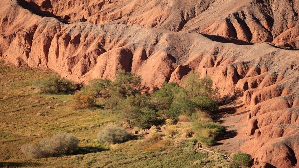 Devil`s Throat And Catarpe Valley Bike Tour foto 7