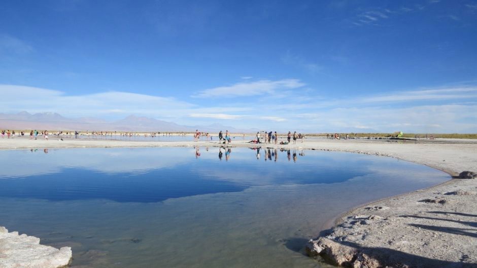 Half Day Cejar Lagoon + Ojos Del Salar + Tebenquiche Lagoon. foto 4