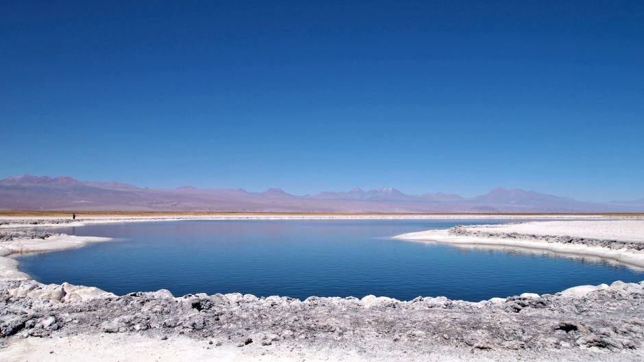 Half Day Cejar Lagoon + Ojos Del Salar + Tebenquiche Lagoon. (2)