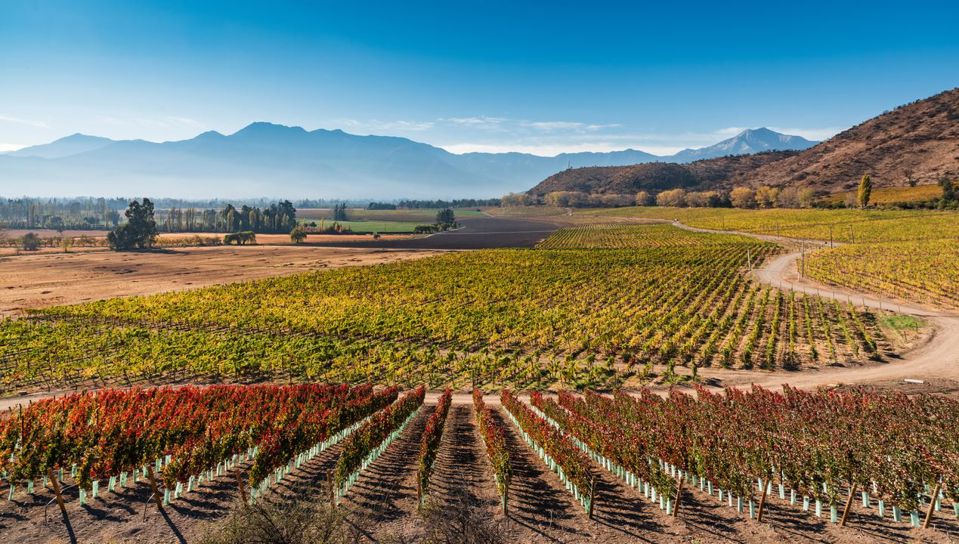 Haras De Pirque: Organic Vineyard Iconic Wine Tasting foto 1