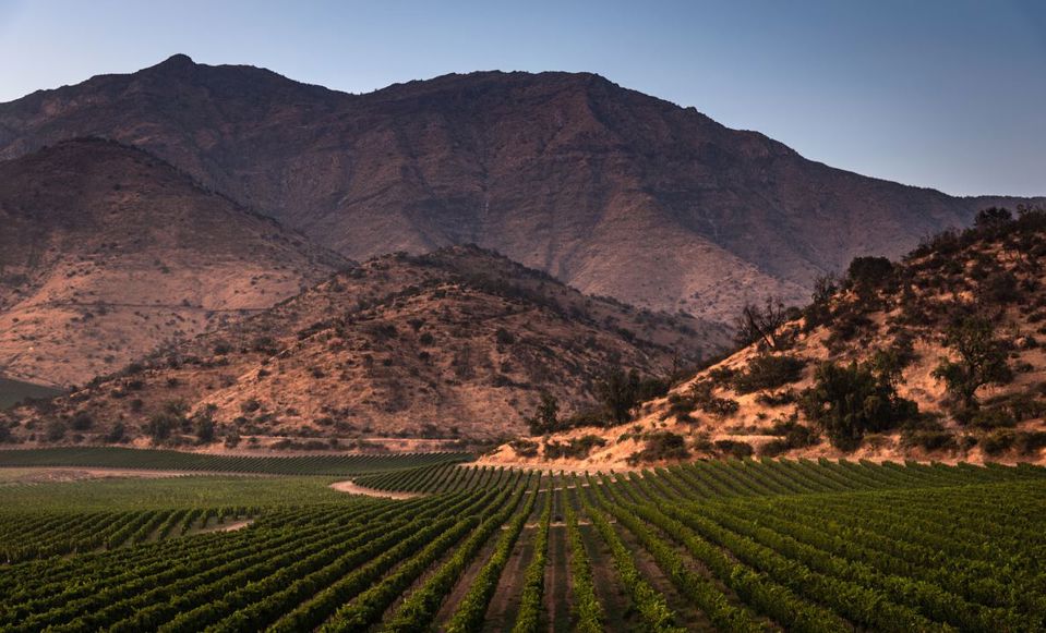 Haras De Pirque: Organic Vineyard Iconic Wine Tasting foto 5