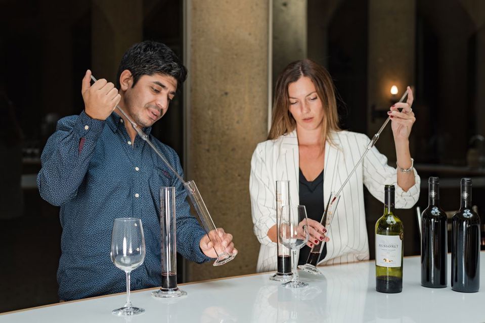 Haras De Pirque: Organic Vineyard Iconic Wine Tasting foto 7