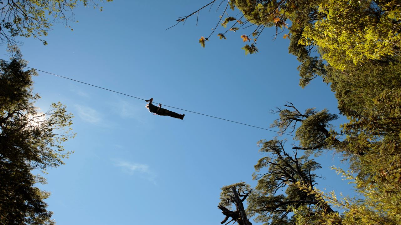 Huilo Huilo Biological Reserve From Pucon foto 4