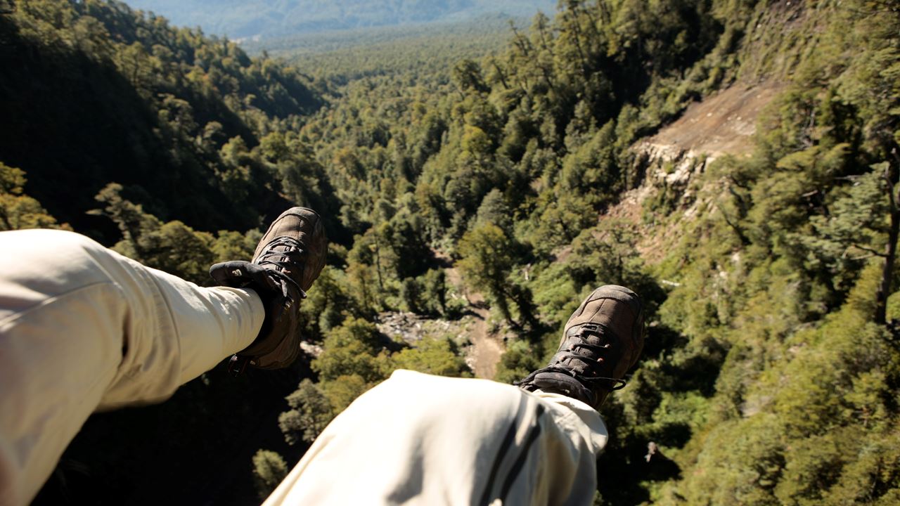 Huilo Huilo Biological Reserve From Pucon foto 3