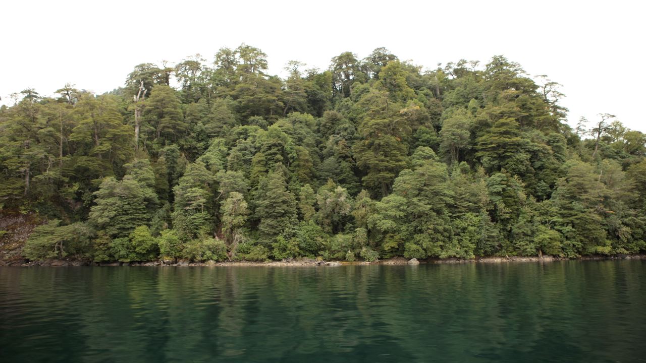 Huilo Huilo Biological Reserve From Pucon foto 7