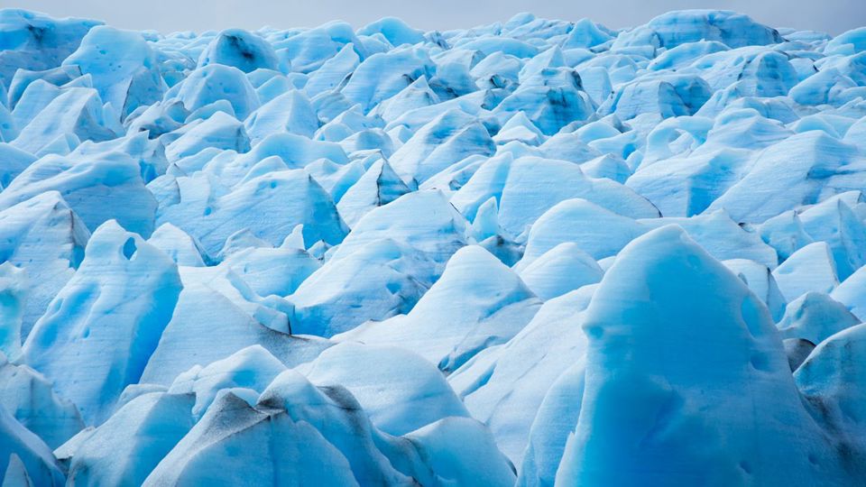 Ice Trekking To The Gray Glacier foto 5