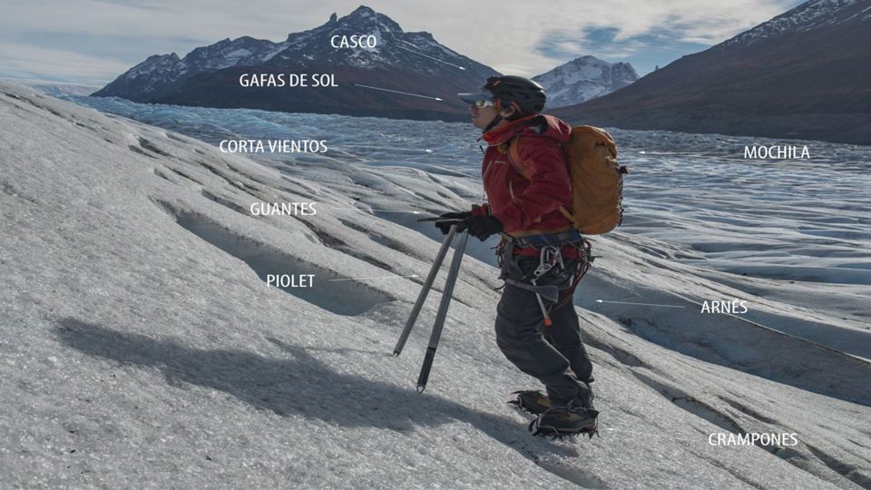 Ice Trekking To The Gray Glacier foto 8