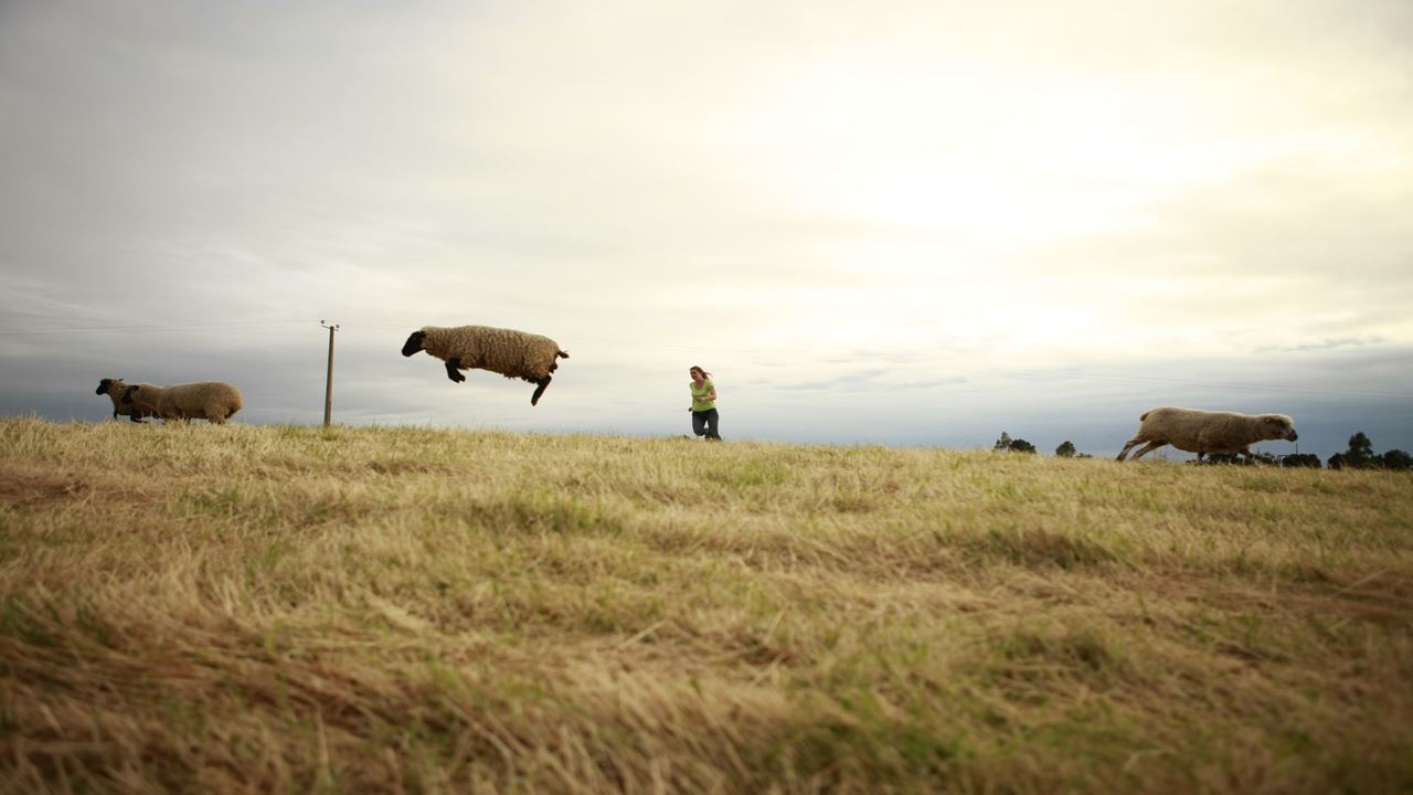 Island Of Navigating Souls: San Juan, Tenaun, Colo, Aucar Quemchi foto 13