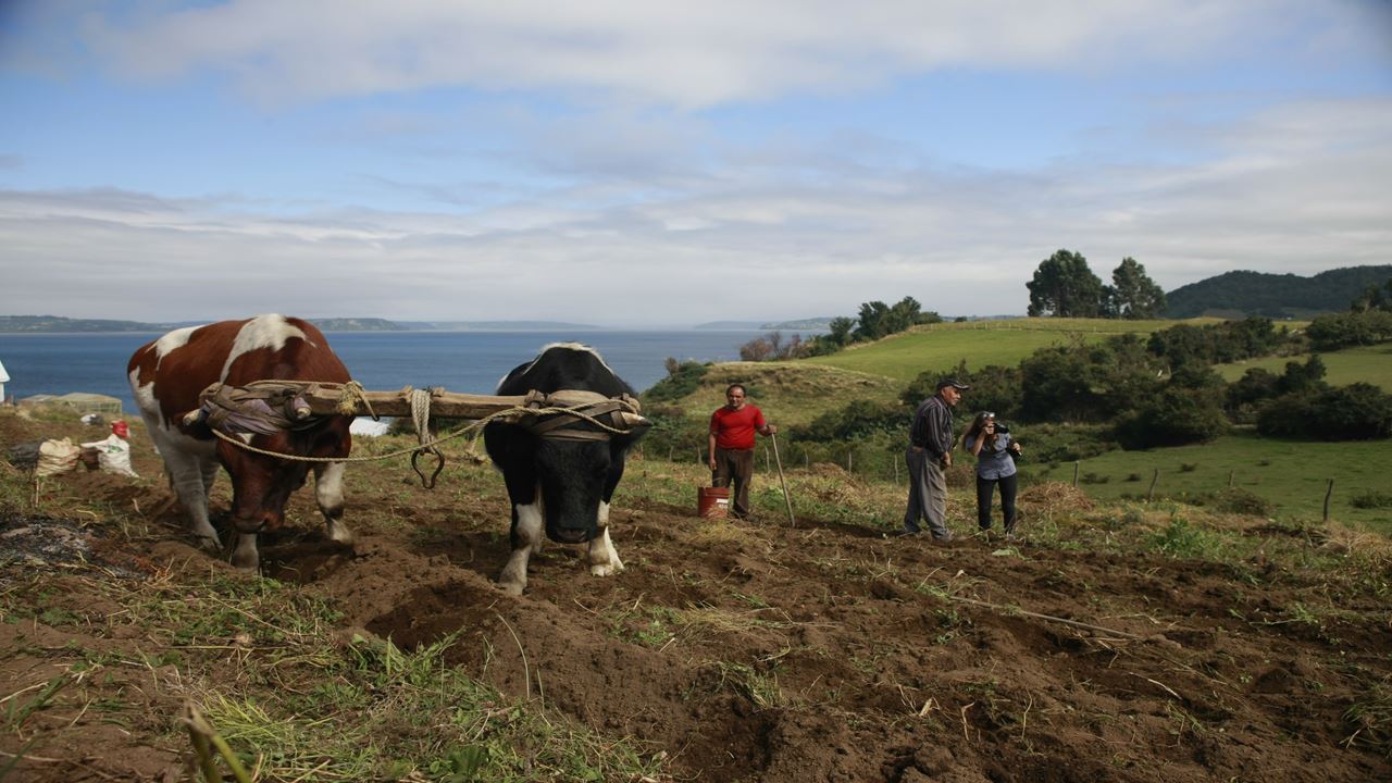 Island Of Navigating Souls: San Juan, Tenaun, Colo, Aucar Quemchi foto 14