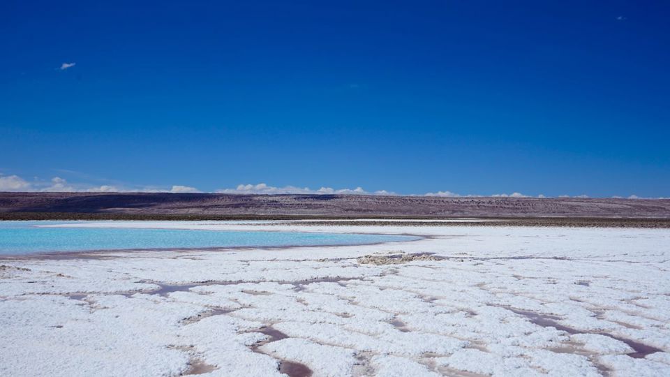Altiplano Lagoons, Atacama Salt Flats And Piedras Rojas foto 6