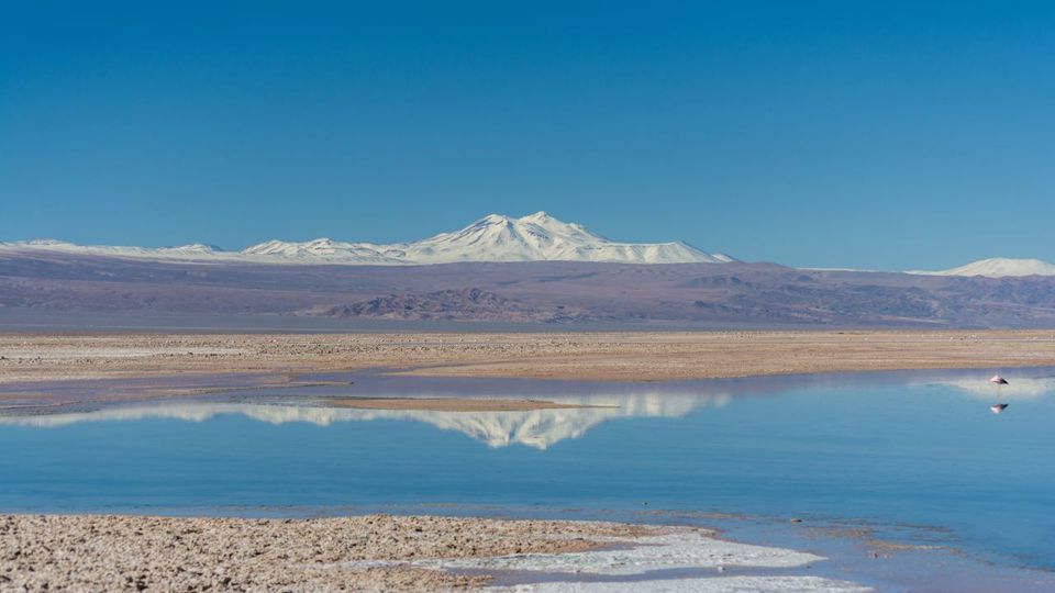 Altiplano Lagoons, Atacama Salt Flats And Piedras Rojas foto 5