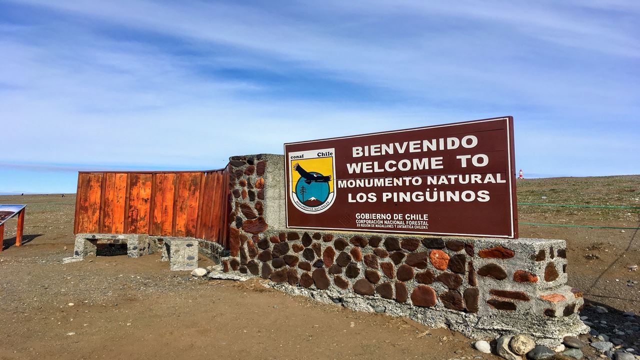 Navegacion Pingüinera Isla Magdalena foto 6