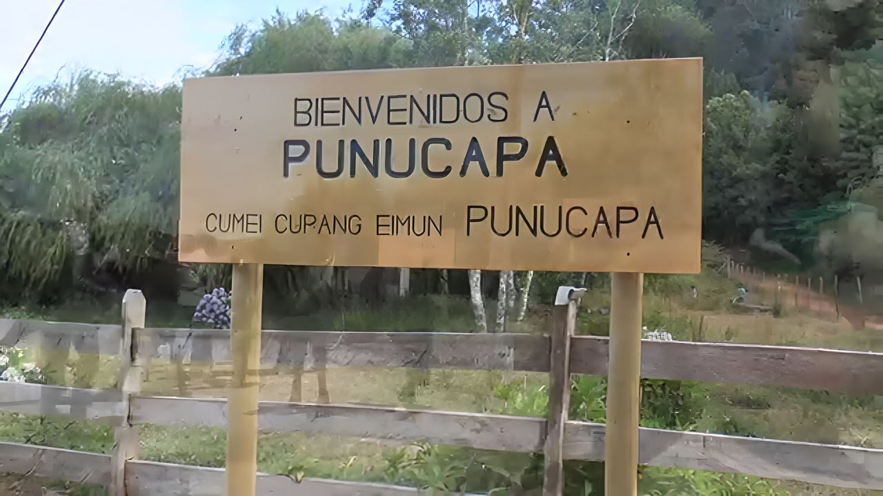 Navegação Punucapa E Seu Santuário Natural Em Valdivia foto 10