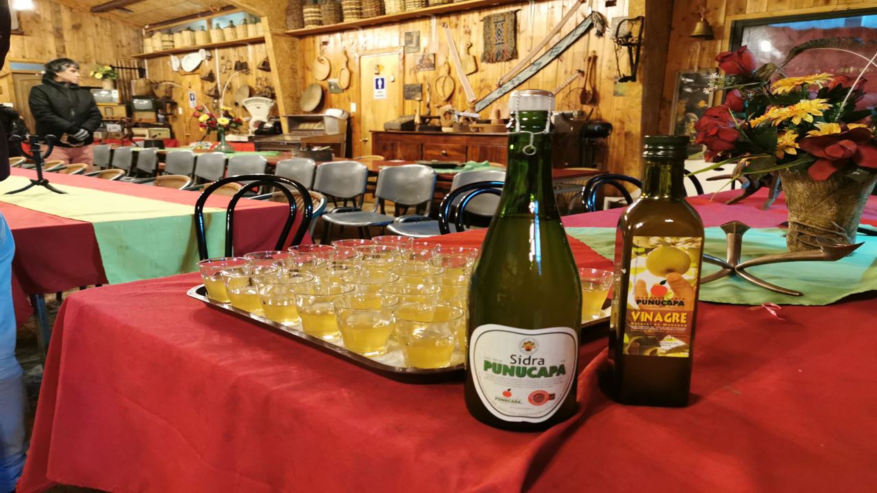 Navegação Punucapa E Seu Santuário Natural Em Valdivia foto 9