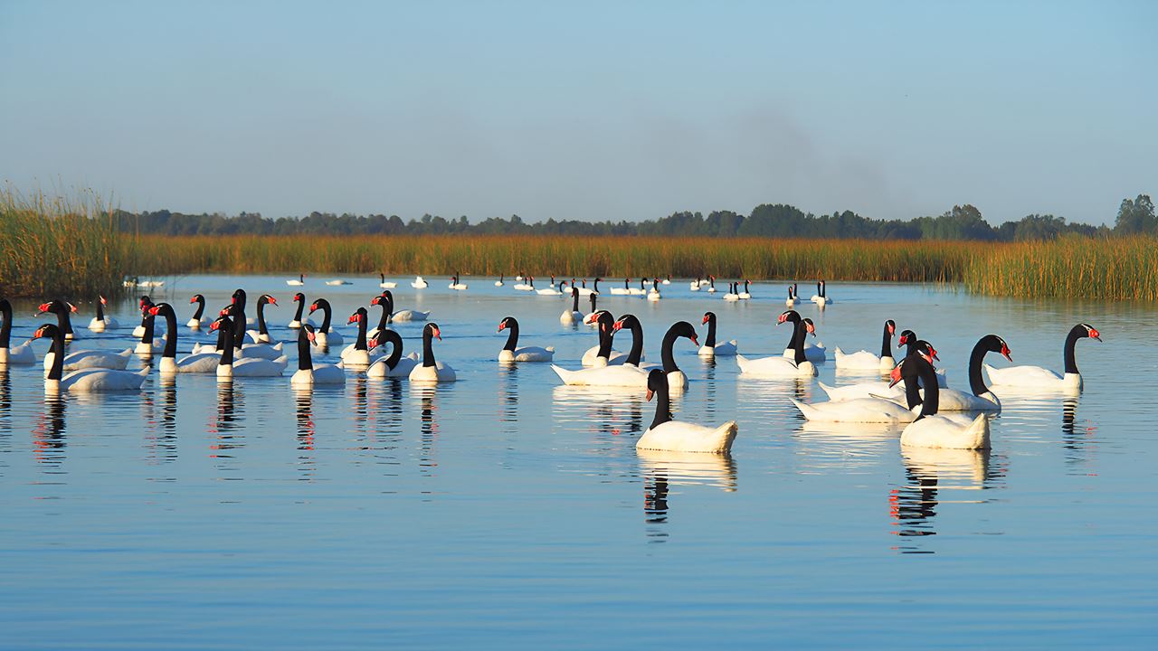 Navegação Punucapa E Seu Santuário Natural Em Valdivia foto 6