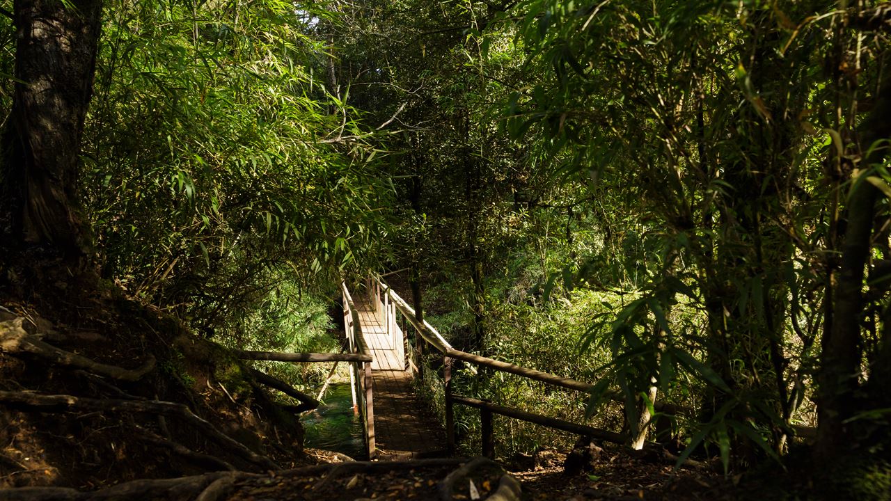 Olhos De Caburgua E Lago Caburgua foto 3