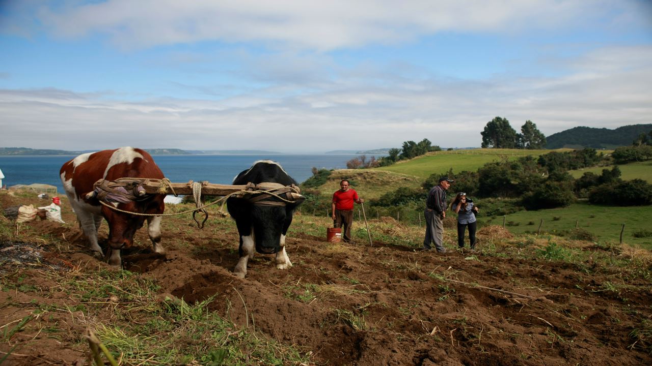 Chaiguen Adventure Park foto 10