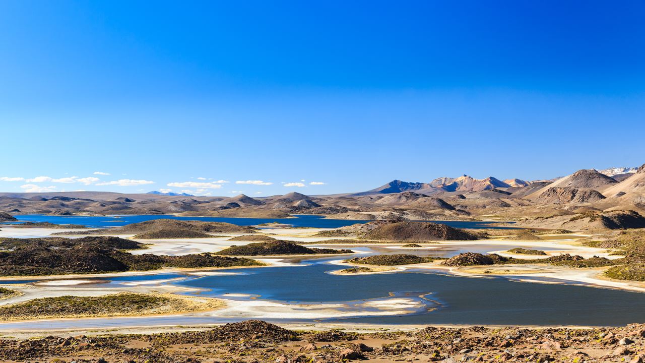 Parque Nacional Lauca E Lago Chungara foto 5