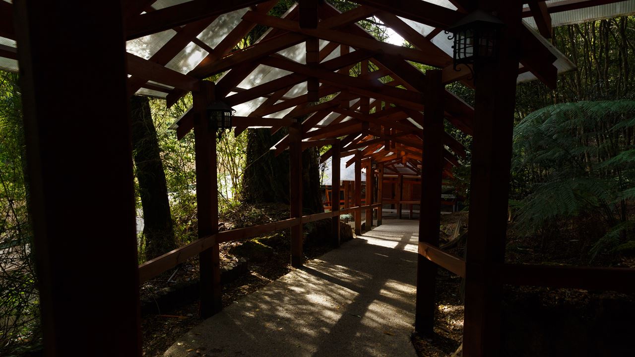 Parque Nacional Puyehue E Termas De Aguas Calientes foto 4