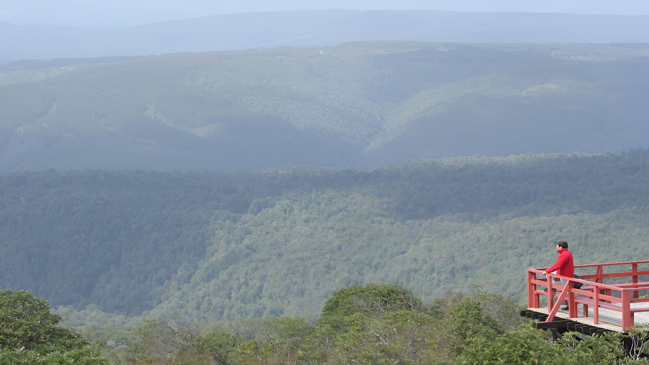 Parque Oncol Em Valdivia, História E Trilhas Naturais foto 7