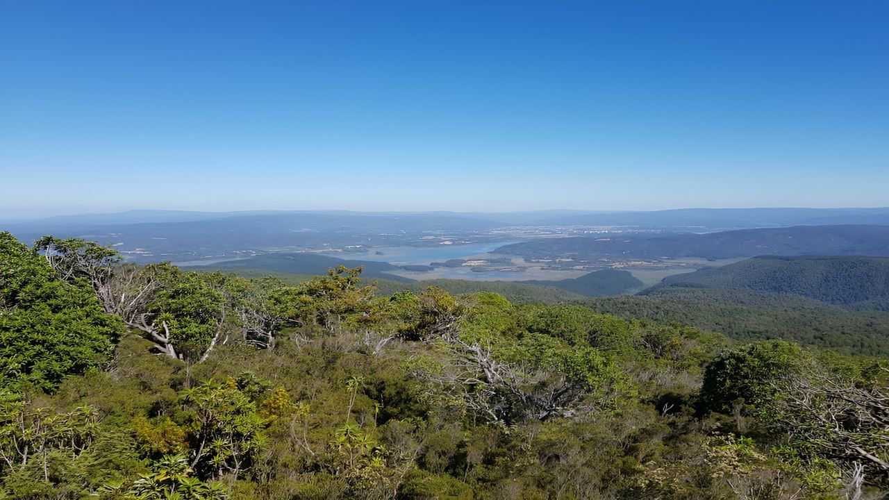 Parque Oncol Em Valdivia, História E Trilhas Naturais foto 3