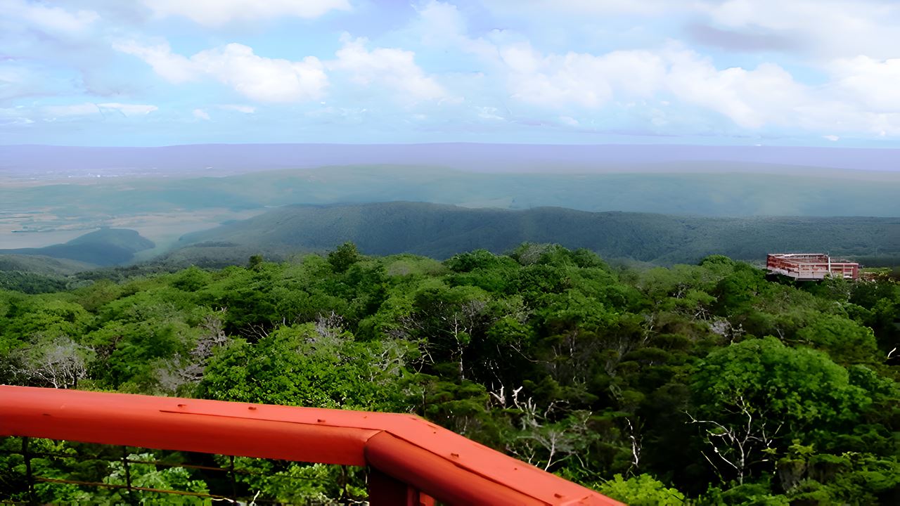 Parque Oncol Em Valdivia, História E Trilhas Naturais foto 2