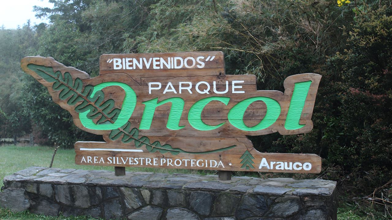 Parque Oncol Em Valdivia, História E Trilhas Naturais foto 8