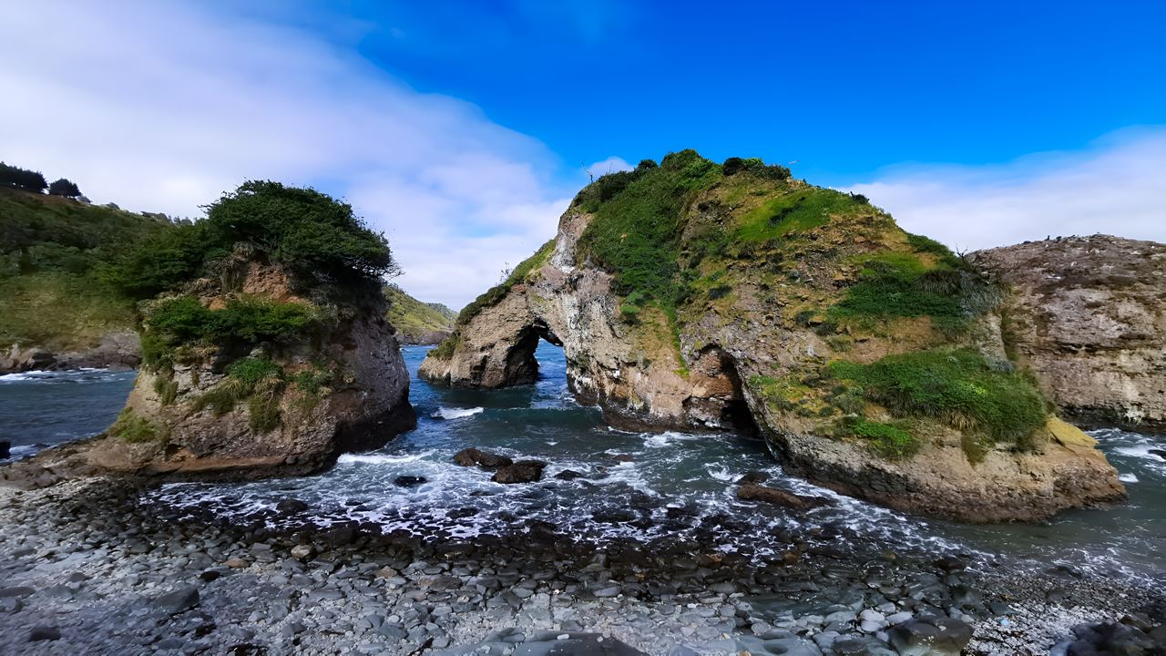 Parque Oncol Em Valdivia, História E Trilhas Naturais foto 4