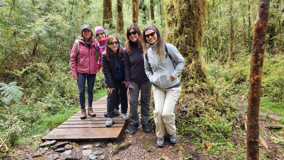 Ruta Alerce Ancestral Y Laguna Chaiquenes: Trek Al Pn Alerce Andino foto 7
