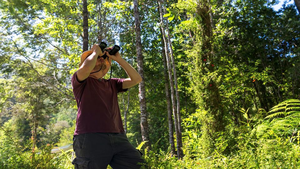 Ruta Alerce Ancestral Y Laguna Chaiquenes: Trek Al Pn Alerce Andino foto 3