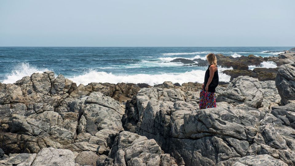 Neruda Route - Isla Negra, Pomaire And Undurraga Vineyard foto 4