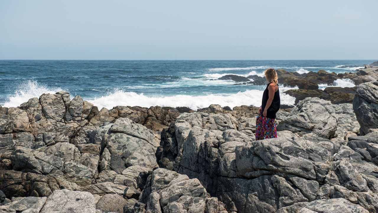 Neruda Route - Isla Negra, Pomaire And Undurraga Vineyard (3)